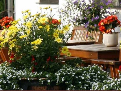 Foto: Gilsbach